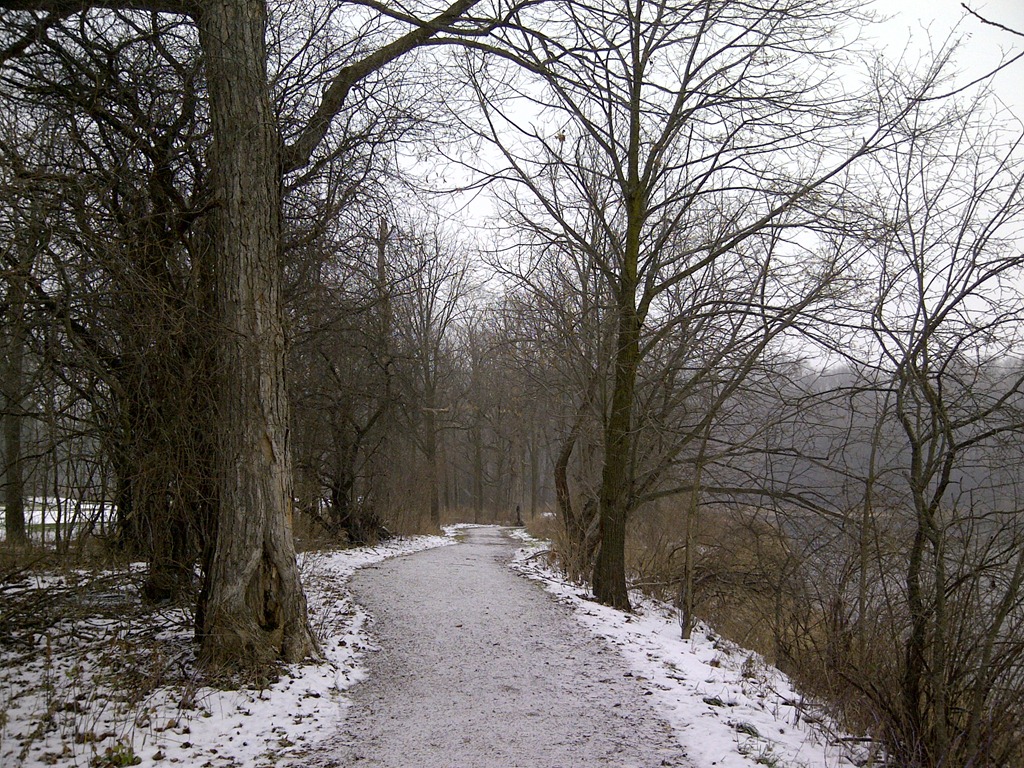 [SnowyGrand%2520%25284%2520of%252016%2529%255B5%255D.jpg]