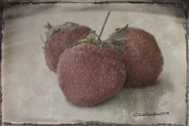 [strawberries-raggedy-paper-%255B4%255D.jpg]