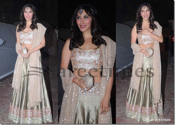 Sophie_Chaudhary_Manish_Malhotra_Lehenga