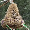 20110827_9000.JPG