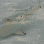 l034.jpg