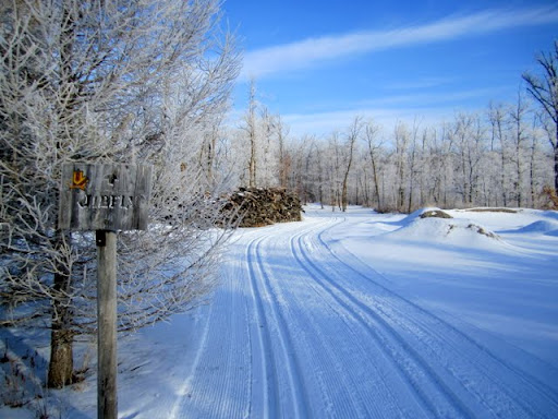 Start of JibFly
