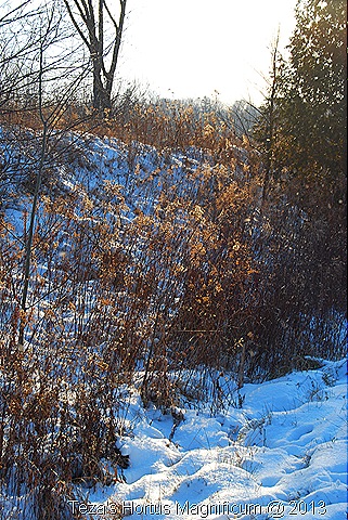 [DSC_0143%255B17%255D.jpg]