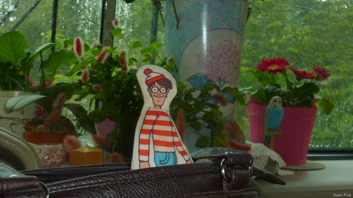 [flowers%2520in%2520mom%2520and%2520dads%2520garden_115%255B3%255D.jpg]