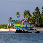 IMG_5178.jpg