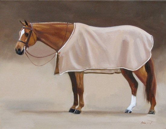 Janet Crawford Janet Crawford Equine Art