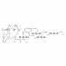 Twitter icon size W73xH73