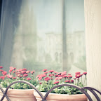 blog-6743.jpg