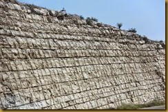 IMG_0273 IMG_0273