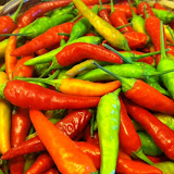 Chilies from the garden.  Photo by Erin Turner.