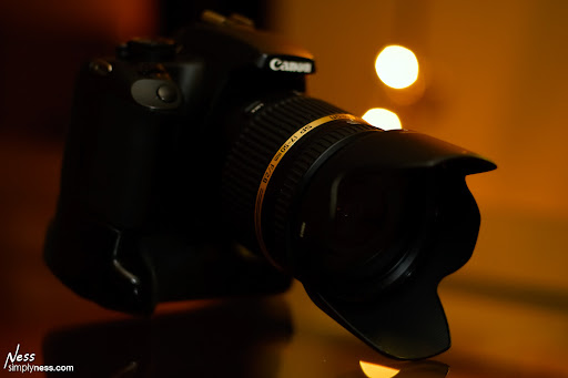 _MG_9513-Edit _MG_9513-Edit