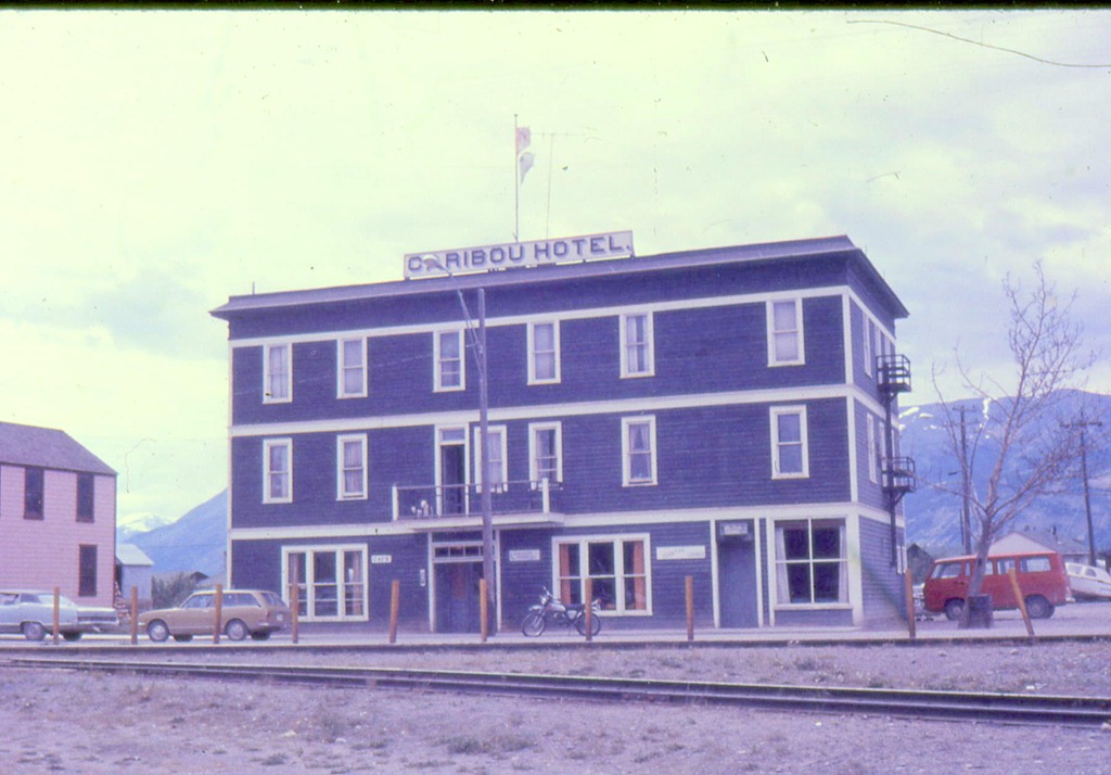 [Caribou-in-Carcross4.jpg]