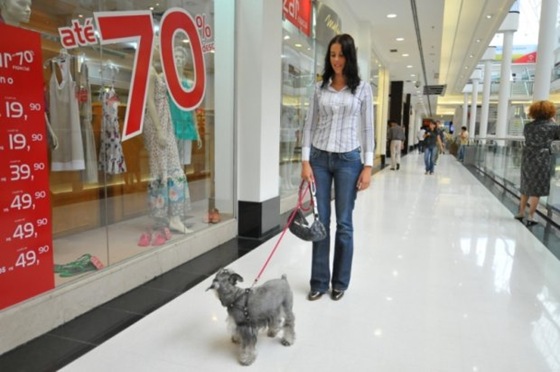 passeio-cachorro-shoppings-curitiba
