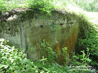 dsc06875.jpg