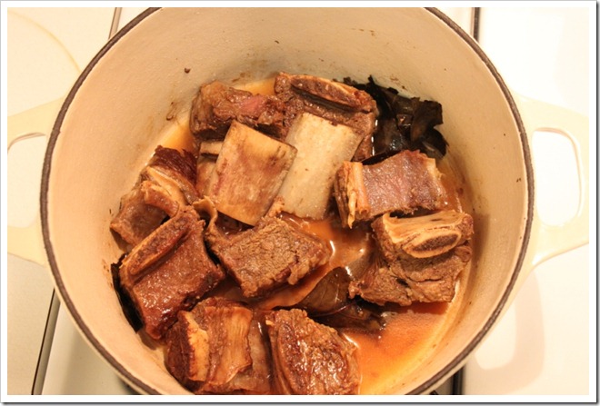 shortribsingreensauce4 shortribsingreensauce4