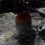 DSC_0483.jpg DSC_0483.jpg