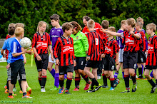 20140614 - WVV D4 - BATO TOERNOOI - 034.jpg