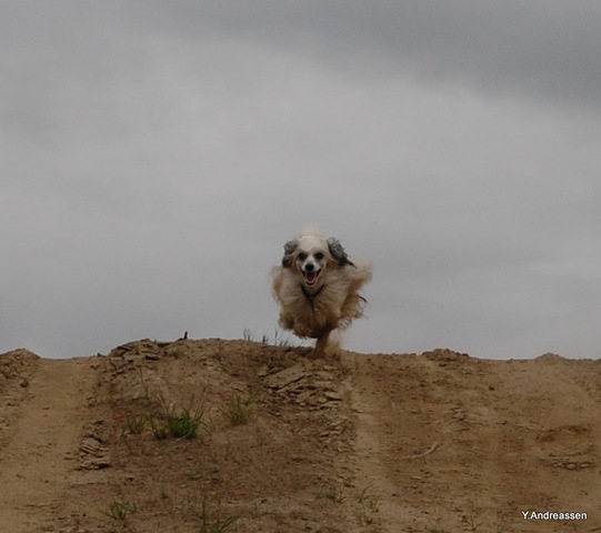 [DSC_6576%255B3%255D.jpg]