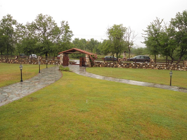 DSC00450 DSC00450