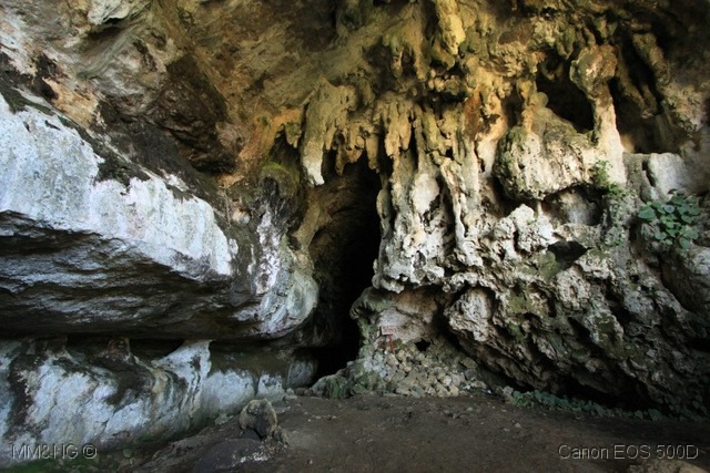 [IMG_4777%255B7%255D.jpg]