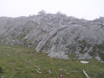 P6173552.JPG