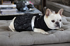 Trying On Halloween Costumes