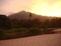 DSC08825.JPG