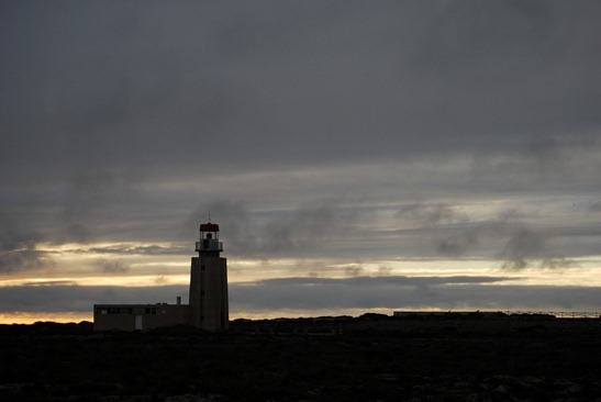 DSC_0560