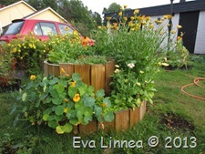 IMG_7533 IMG_7533