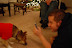 Browne Christmas Party 2008