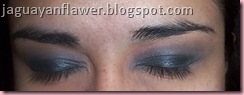 Smokey Navy (2) Smokey Navy (2)