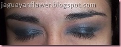 Smokey Navy (2)