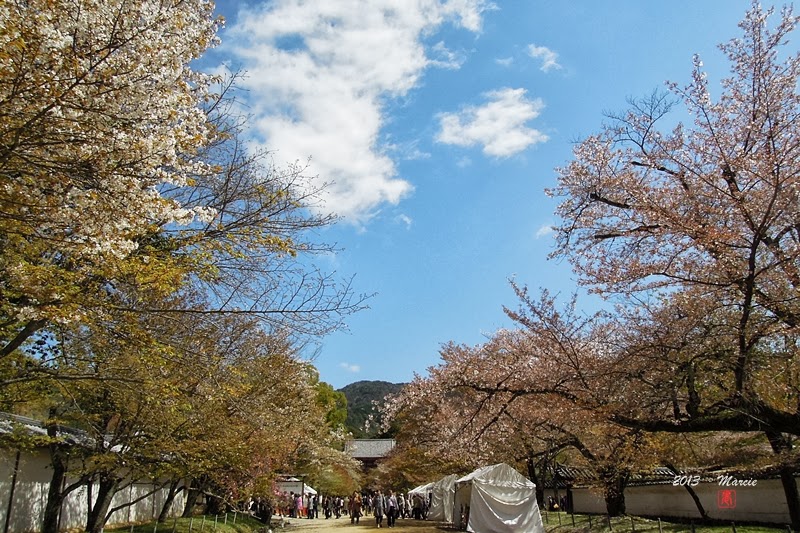 日本 京都 醍醐寺