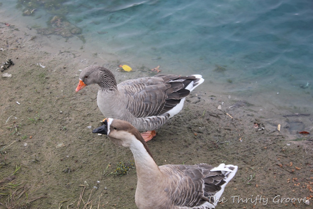 [IMG_4616%255B3%255D.jpg]