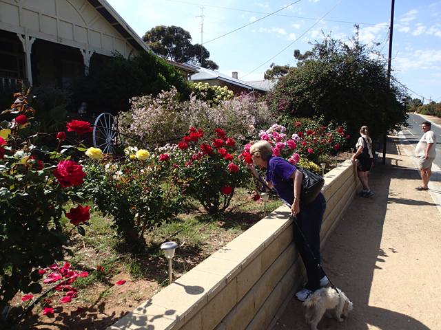 [image%255B6%255D.png]