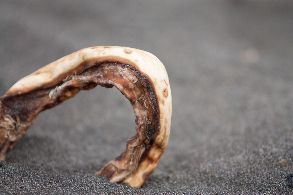 [20110611-IMG_03714.jpg]