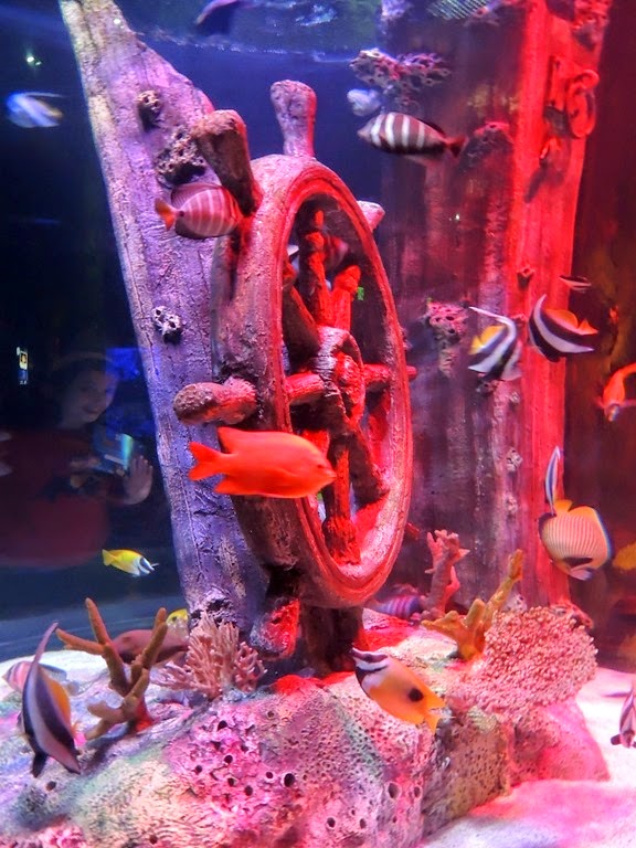 [DSCN8743%255B3%255D.jpg]