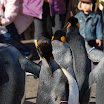 hokkaido_340.jpg