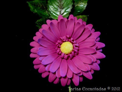 gerbera (1) gerbera (1)