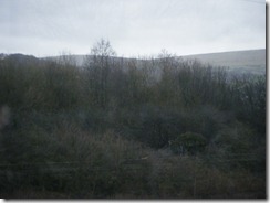 DSCF1147 DSCF1147