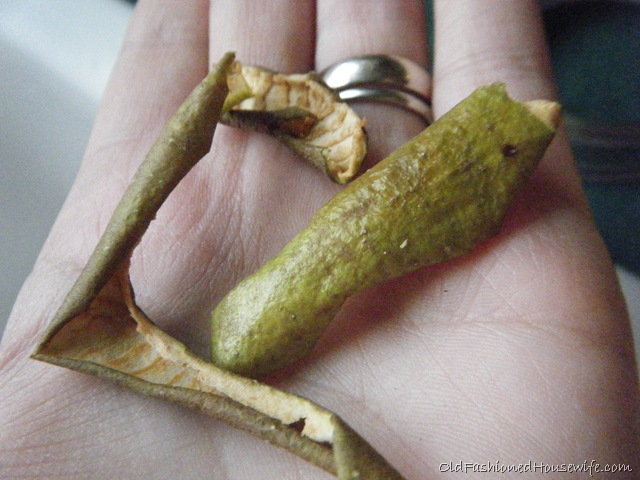 [Picture%2520121%255B6%255D.jpg]