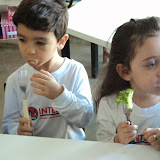 DSC03667.JPG