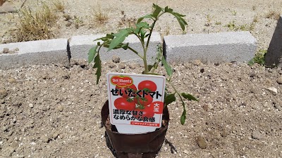 2014-05-04 12.55.40.jpg