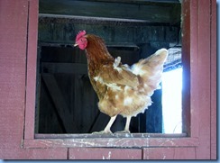 IMG_4444 IMG_4444