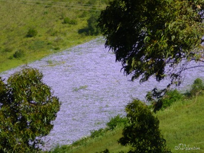 [P1030119%255B3%255D.jpg]