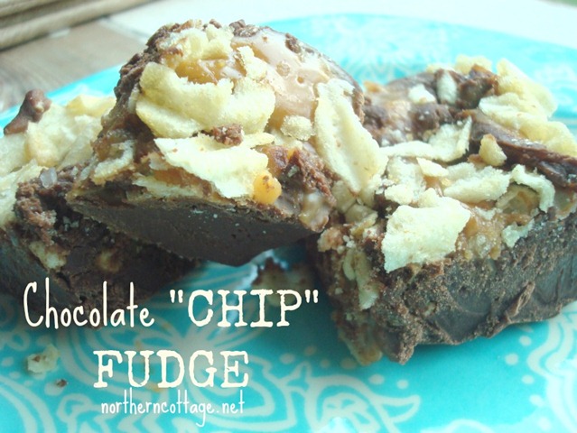 [Chocolate-Chip-Fudge--Northern-Cotta%255B1%255D.jpg]