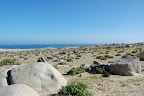 Ruta Costera Desierto Atacama