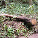 Tierpark Differten 16.09.2010