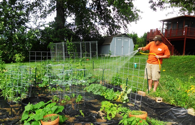 [Garden14%255B3%255D.jpg]