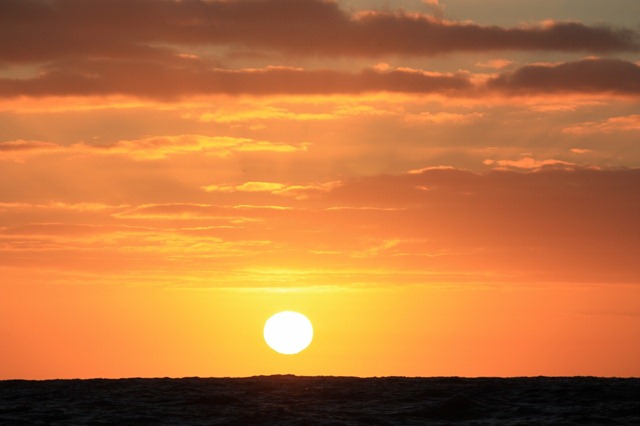 [IMG_60631280x8534.jpg]
